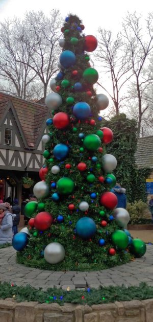 20181208_143359_HDR.jpeg