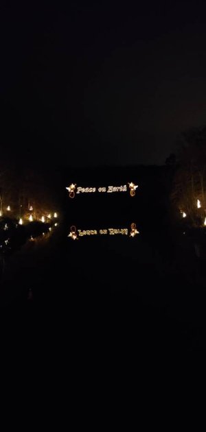 20181208_182720.jpeg