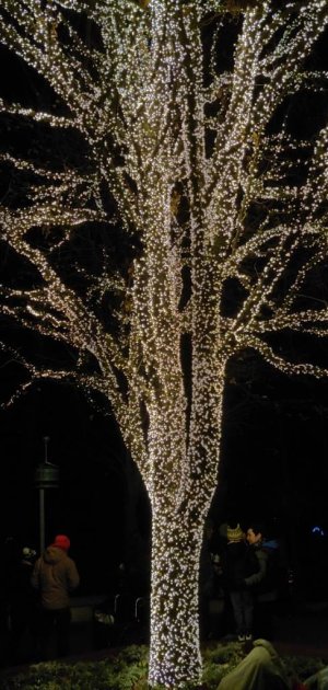 20181208_183419_HDR.jpeg