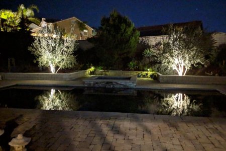night_sight_pic.JPG