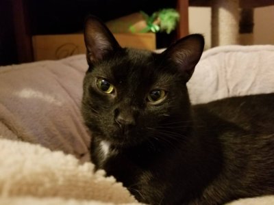 20181012_170826.jpeg