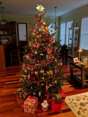 IMG_20181211_171316.jpg