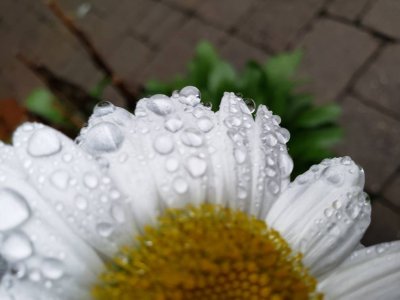 20180910_182816.jpg