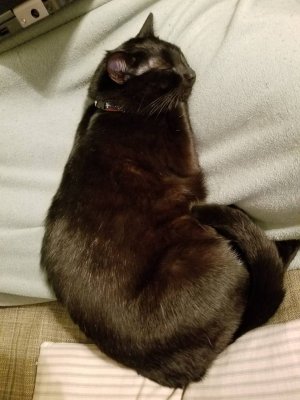 20181212_165003.jpeg