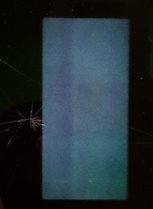 20181211_185246.jpg
