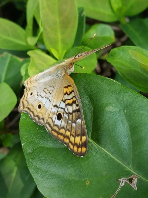 20180911_145042.jpg