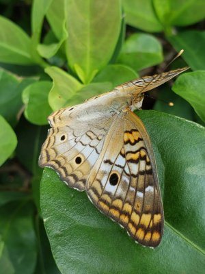20180911_145045.jpg