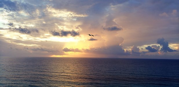 20180909_064241.jpg