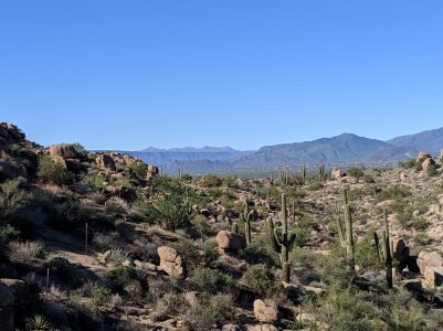 IMG_20181018_150932.jpg