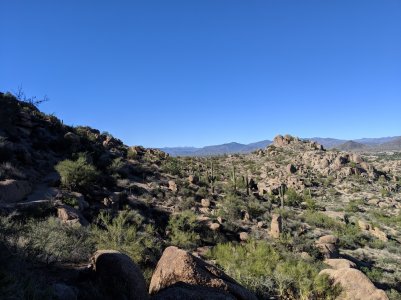 IMG_20181018_150927.jpg