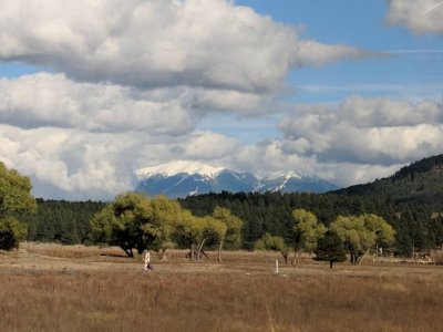 MVIMG_20181012_145614.jpeg