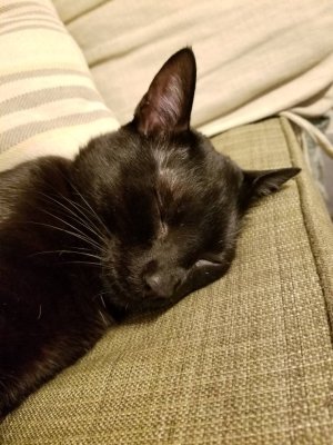 20181214_144636.jpeg