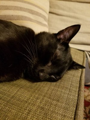 20181214_144522.jpeg