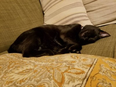 20181214_144124.jpeg