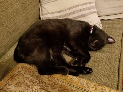 20181214_143830.jpeg