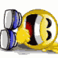 ROFLMAO.gif~c200.gif