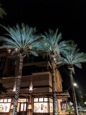 MVIMG_20180829_210331.jpg