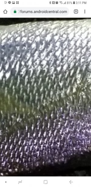 Screenshot_20181021-151129_Chrome.jpg