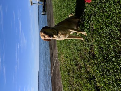 IMG_20181021_162625.jpg