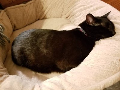 20181215_173216.jpeg