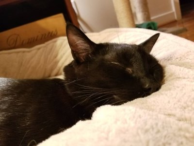 20181215_173114.jpeg