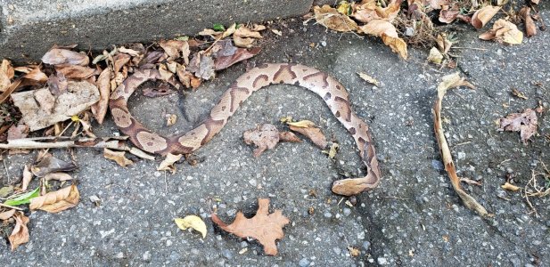 20180913_104306.jpg