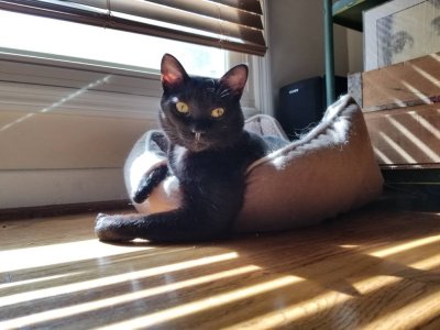 20181021_122203.jpeg