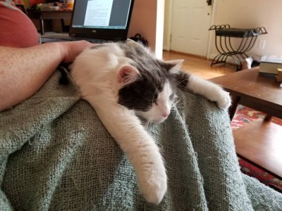 20180910_151253.jpg