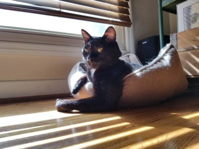 20181021_122207.jpeg