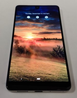 essential 1.jpg
