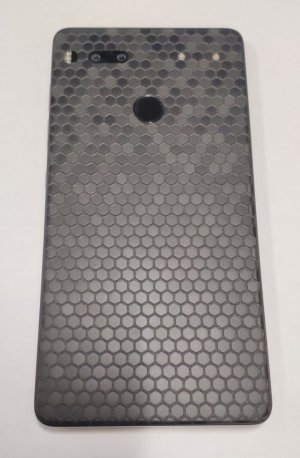 essential 2.jpg