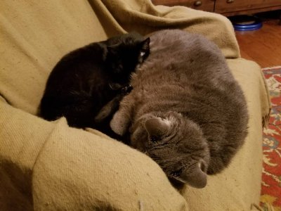 20181219_171129.jpeg