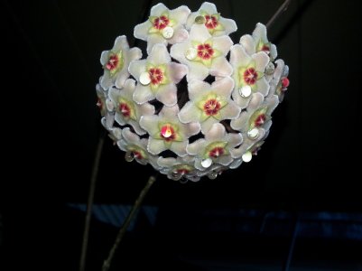 20120930_163741.jpg