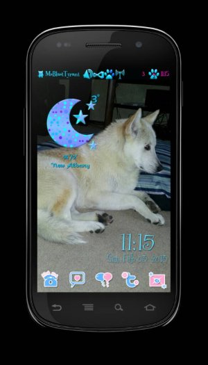 uploadfromtaptalk1359955283588.jpg