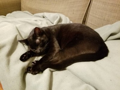20181221_131724.jpeg
