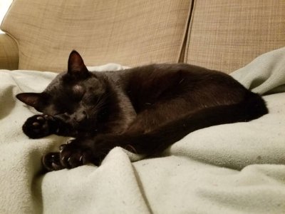 20181221_131656.jpeg