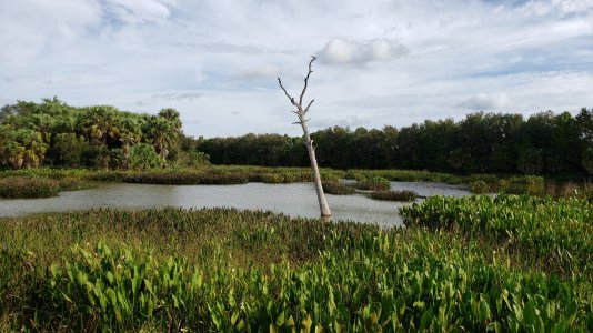 20181209_100713.jpg