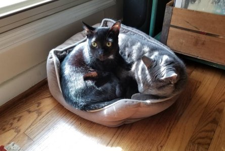 20181027_135005.jpeg