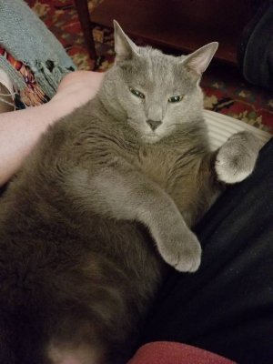 20181024_212750.jpeg
