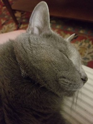 20181024_213615.jpeg
