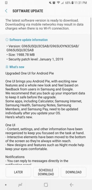Screenshot_20190131-233149_Software update.jpg