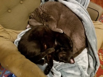 20181225_161859.jpeg