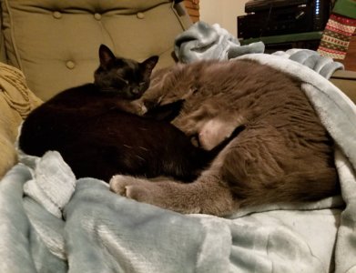 20181225_162633.jpeg