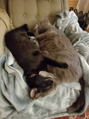 20181225_171840.jpeg