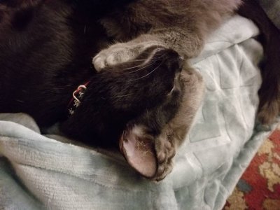 20181225_171830.jpeg