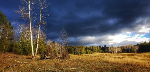 storm coming.jpg