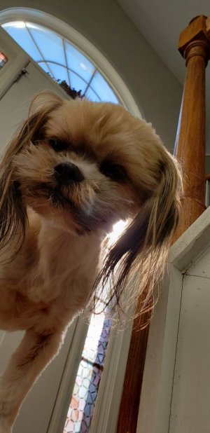 20181029_151158.jpeg