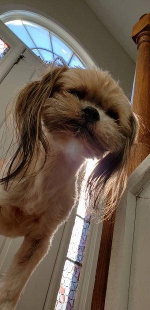 20181029_151157.jpeg