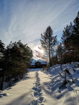 IMG_20190201_120938.jpeg