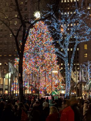 IMG_20181226_174928.jpg